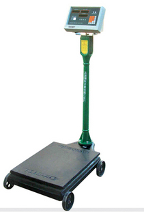 Mechatronics combined platform scale